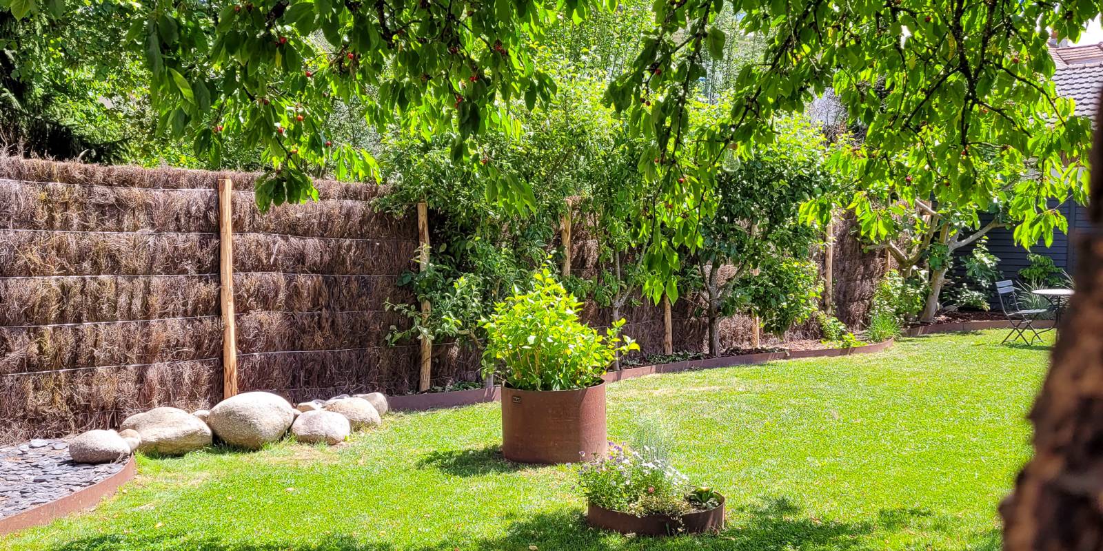 clôture-végétale-en-brande-de-bruyère-alsace