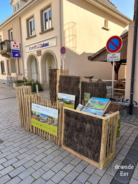 Marché LOCAVOR 2023 Epfig - Brande-Est
