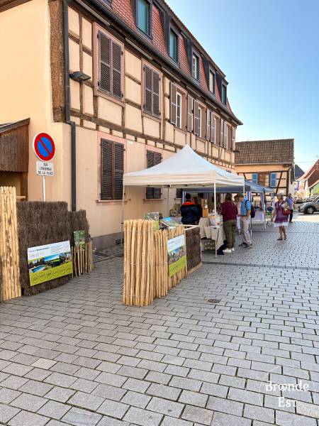 Grand Marché d'Automne Epfig - Brande-Est