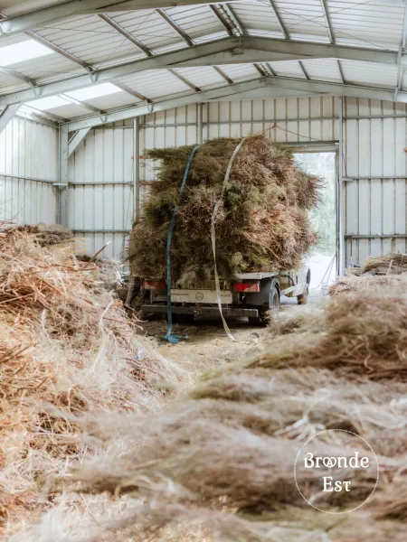CAMION-FAGOT-BRUYERE-LANDES
