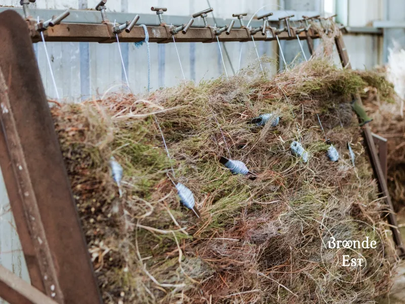 ETABLI-TISSAGE-PANNEAUX-BRANDE-BRUYERE