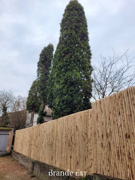 Pose d'une clôture en panneaux jointifs à Sélestat (67) en Alsace