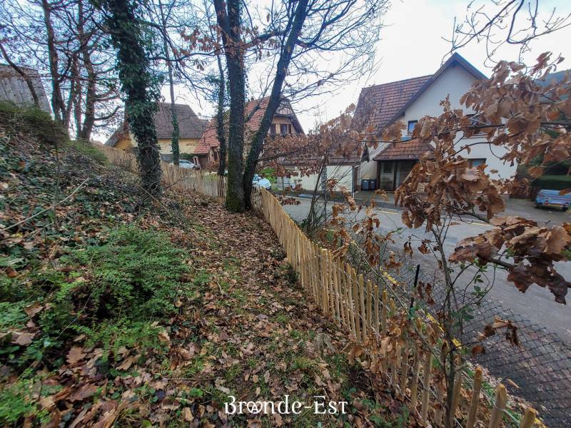 Installation de ganivelle en châtaignier à BARR (67) proche d'Obernai