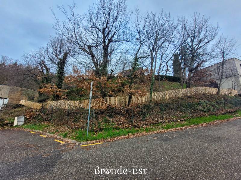 Installation de ganivelle en châtaignier à BARR (67) proche d'Obernai