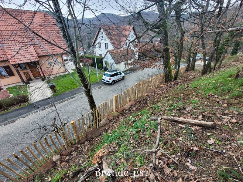 Installation de ganivelle en châtaignier à BARR (67) proche d'Obernai