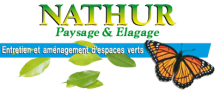 Paysagisme écologique, Élagage & Soin des arbres - Cernay (68) - NATHUR PAYSAGE